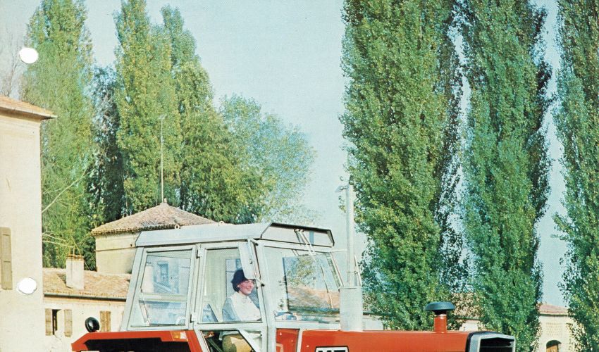 Massey Ferguson 1134