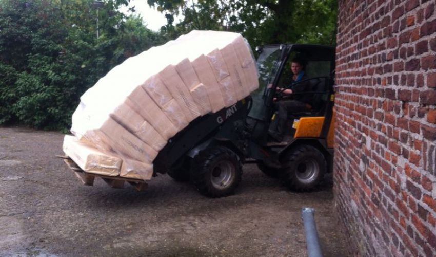 Giant V361