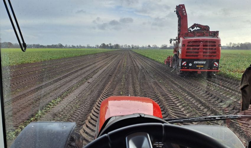 Grimme Rexor 620