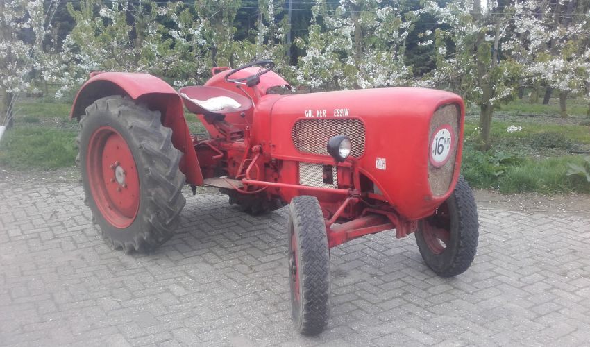 Guldner Tessin