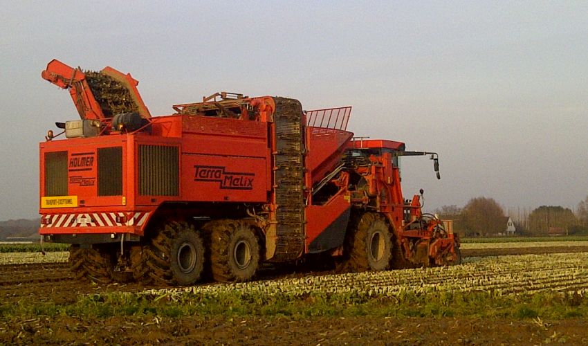 Holmer Terra Melix