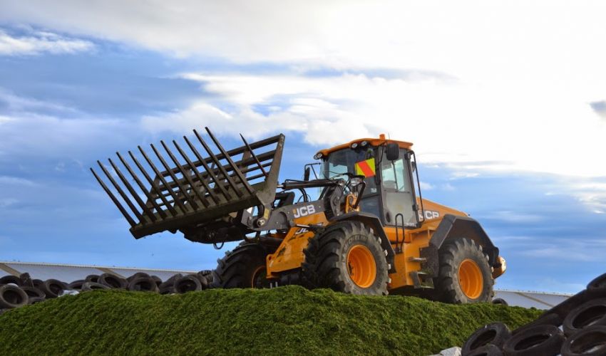 JCB Shovel