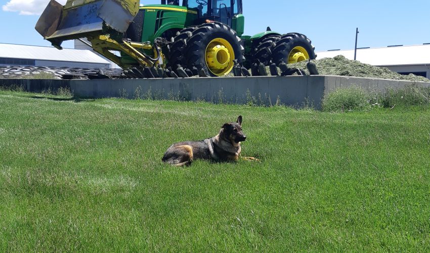 John Deere 9460R