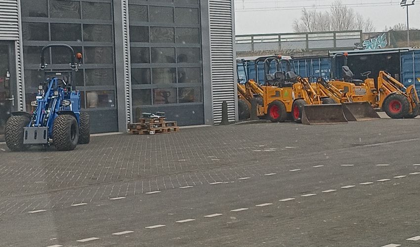 Knikmops Meerdere