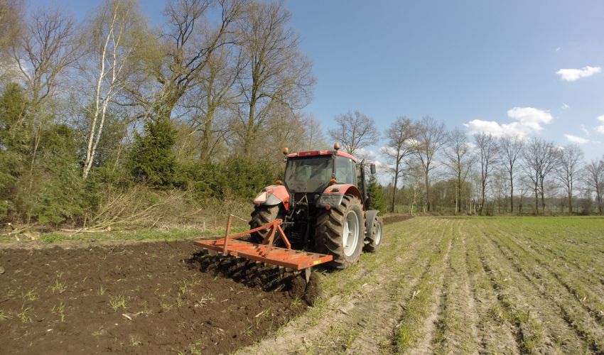 knoche cultivator