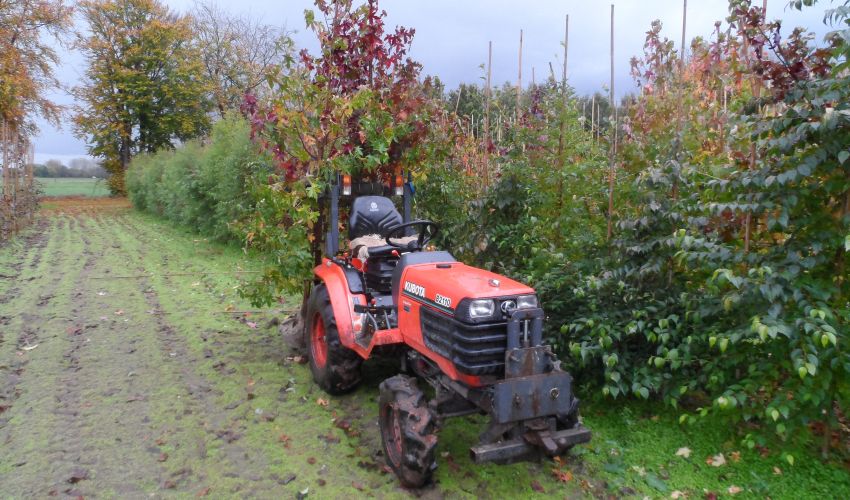 Kubota B2110