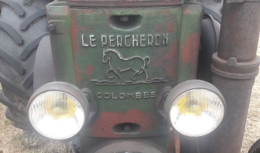Le Percheron Logo