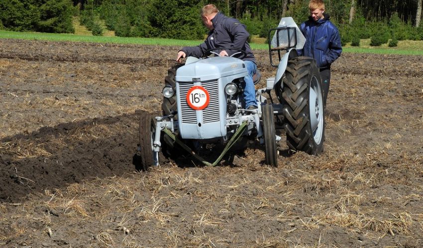 Massey Ferguson TE 20