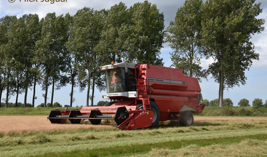 Massey Ferguson 38