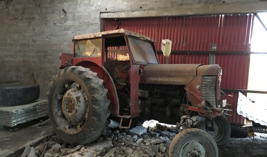 Massey Ferguson Oude glorie