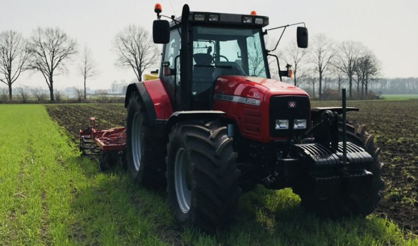 Massey Ferguson 6290