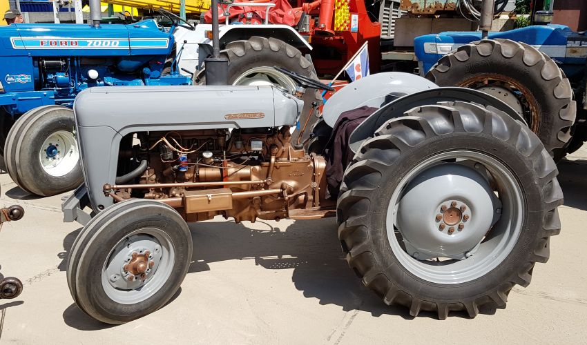 Massey Ferguson Goudbuik