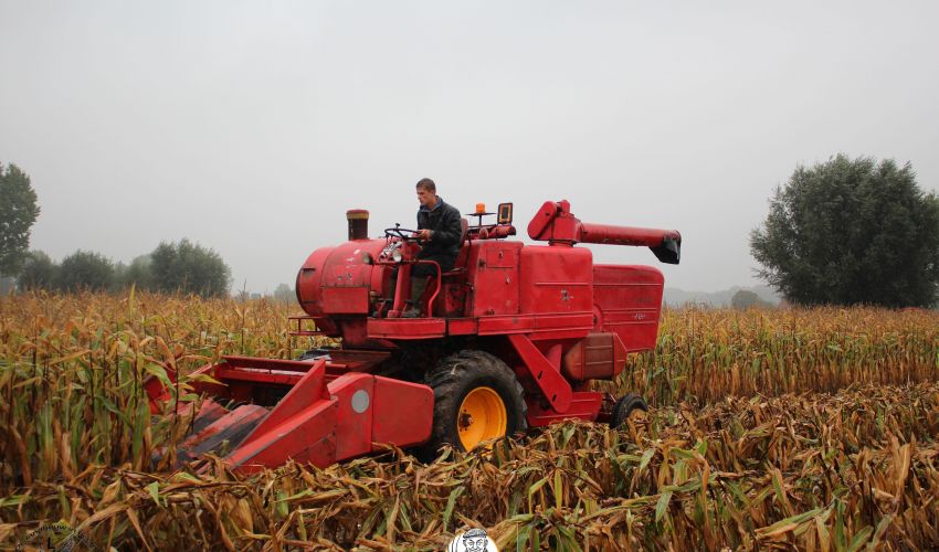 Massey Ferguson Combine