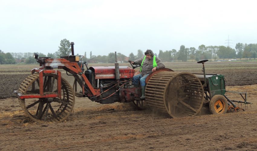Massey Ferguson 65