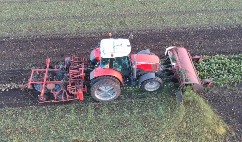 Massey Ferguson 6470