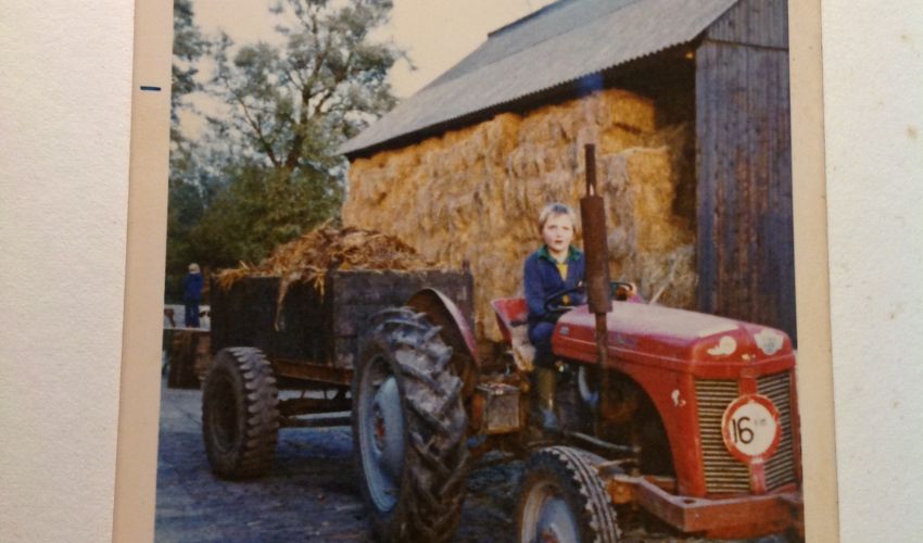 Massey Ferguson Oude glorie