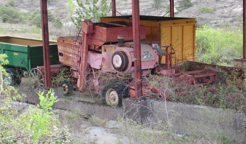 Massey Ferguson Combine
