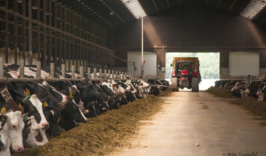Massey Ferguson 7724