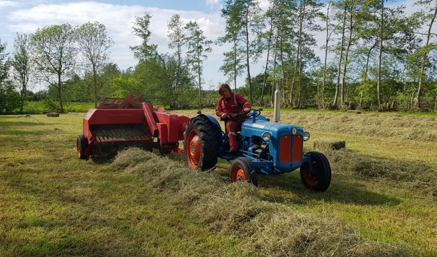 Massey Ferguson Pers