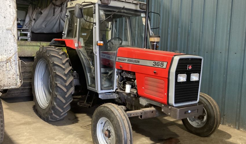 Massey Ferguson 365