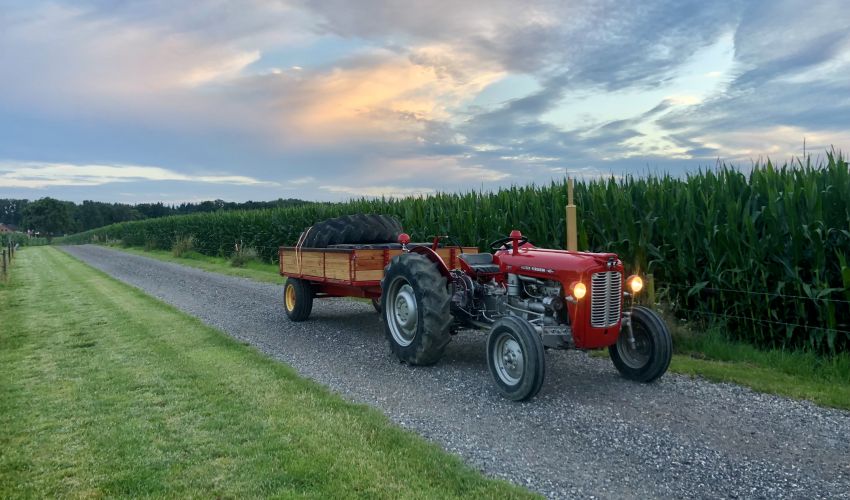 Massey Ferguson 42