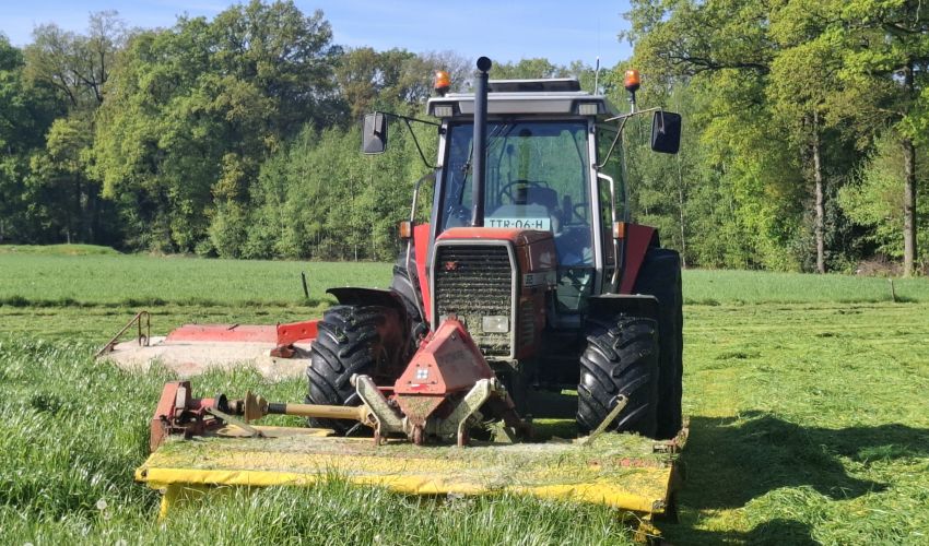 Massey Ferguson 3125