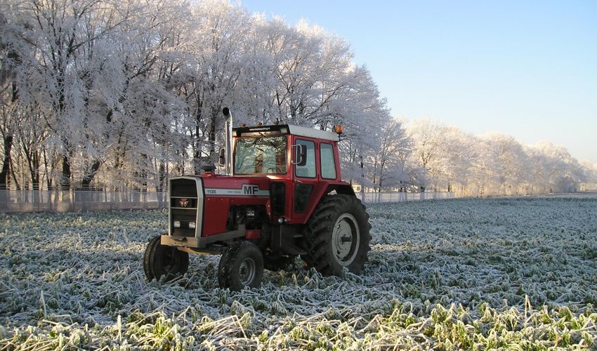 Massey Ferguson 1135