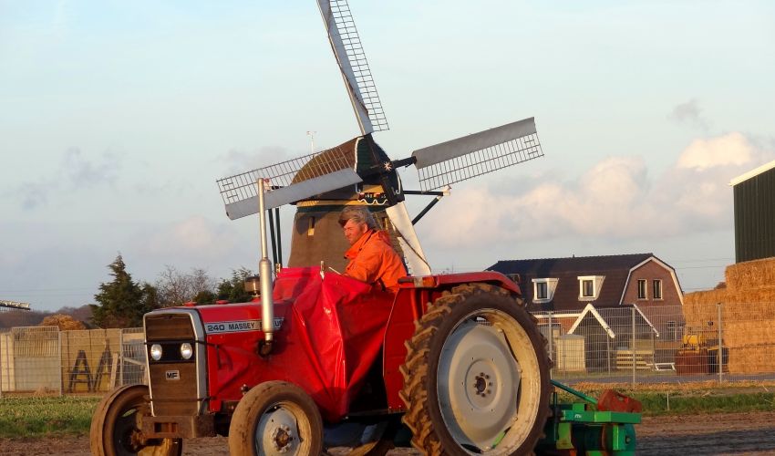 Massey Ferguson 240