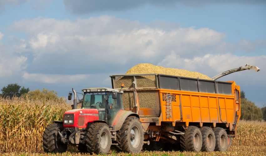 Massey Ferguson 8250