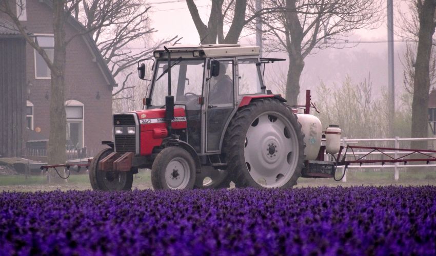 Massey Ferguson 355
