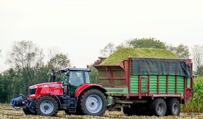 Massey Ferguson 7619