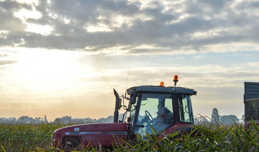 Massey Ferguson 8220
