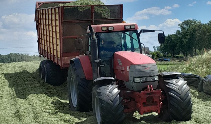 Mc-Cormick MTX 185