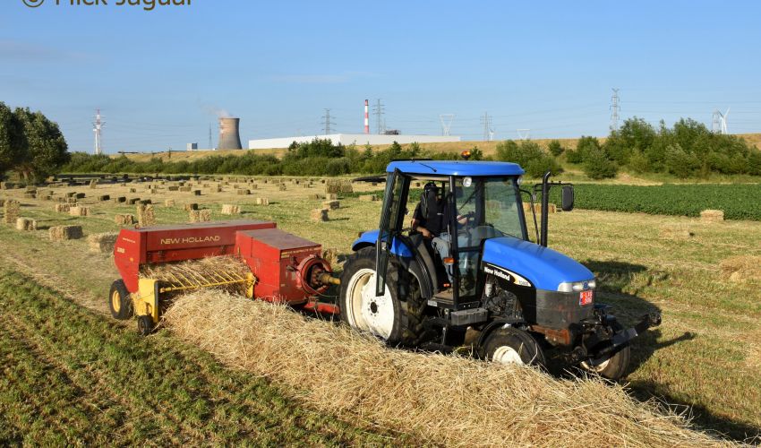 New Holland TD 80 D