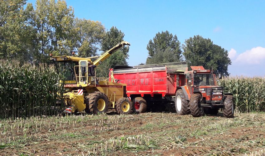 New Holland 1905