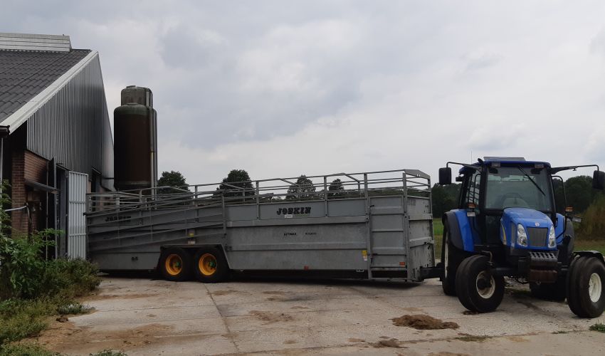 New Holland TL 80 A