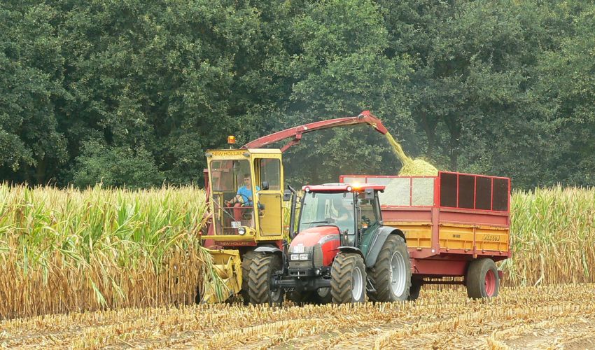 New Holland 1880