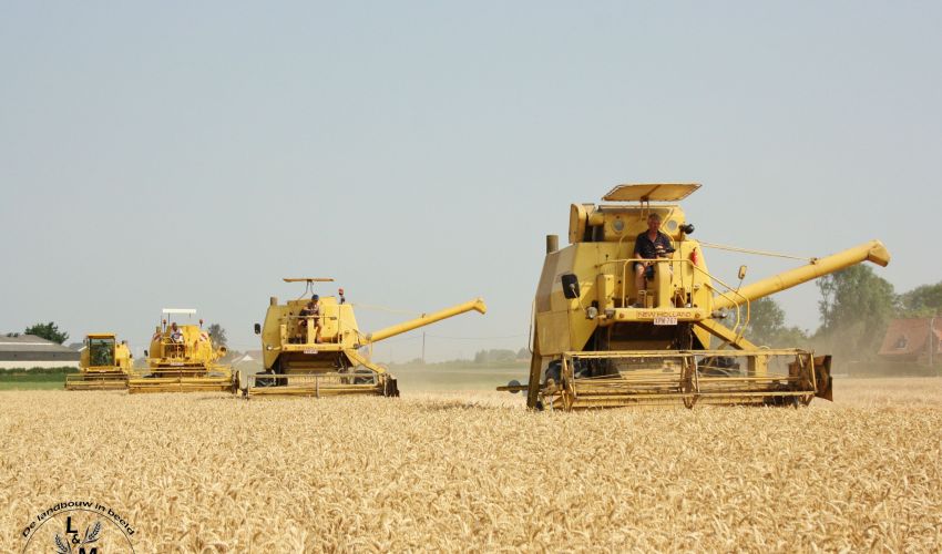New Holland Clayson