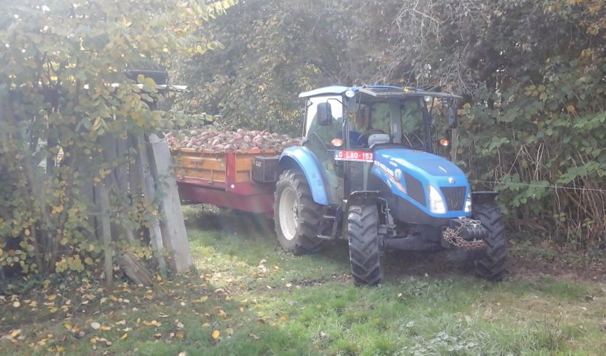 New Holland T 4.65