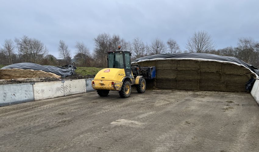 New Holland W 80 TC Scheda tecnica - Italia