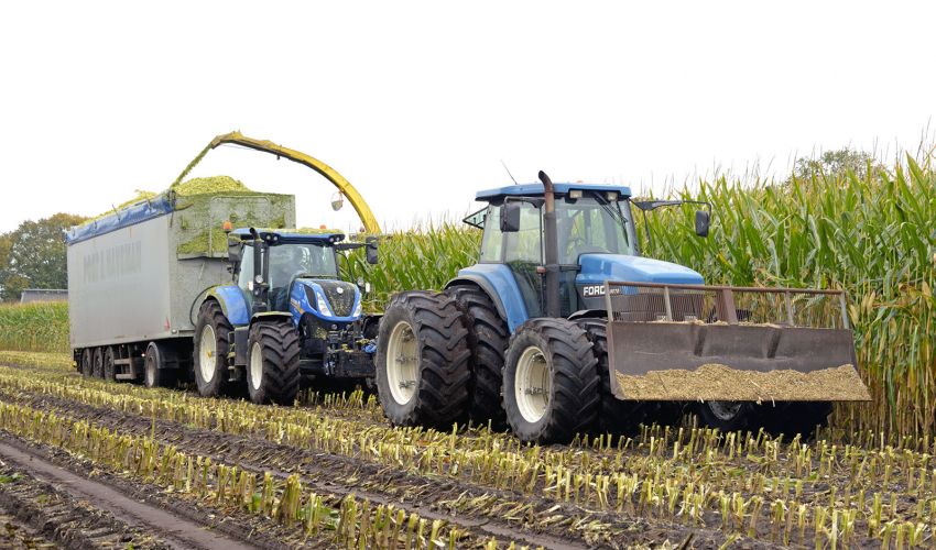 New Holland T 7.245
