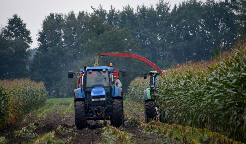 New Holland TM 125