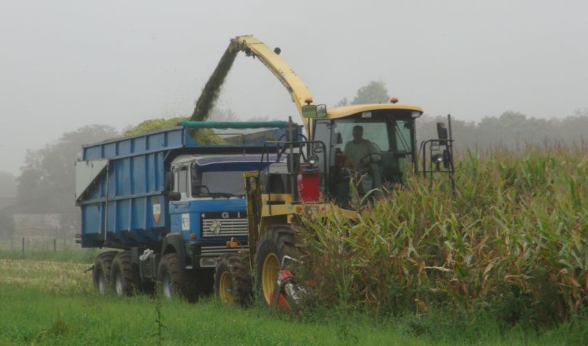 New Holland FX