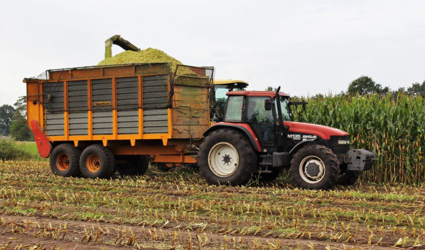 New Holland M 135