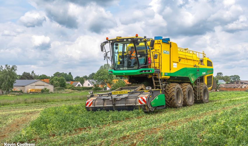 Oxbo GP6300