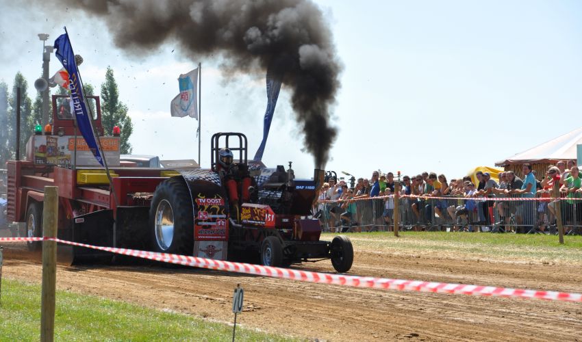 Onbekend black danger