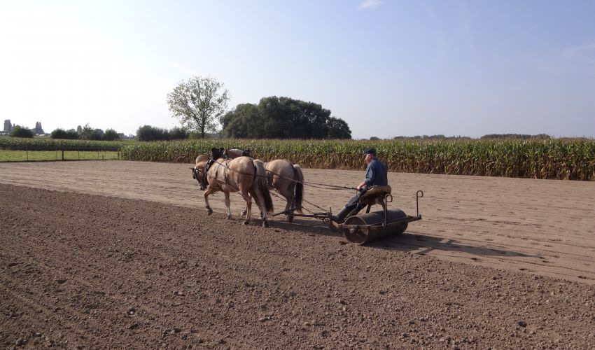 Onbekend foto - -