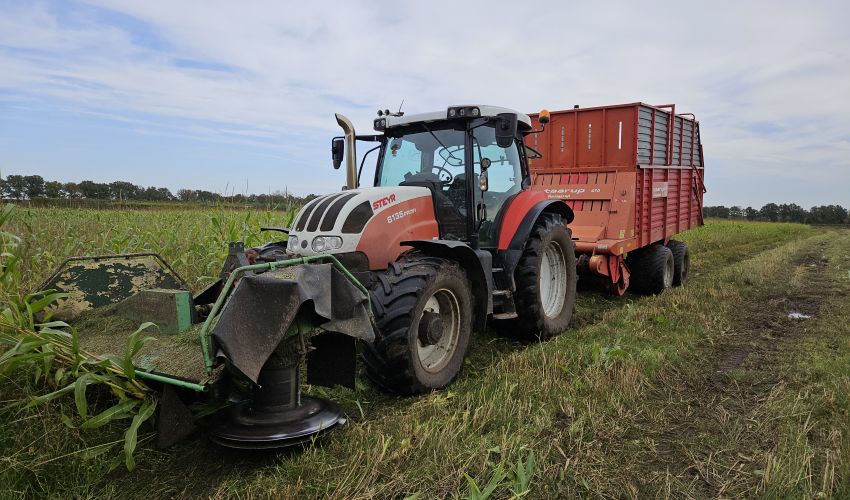 Steyr Profi 6135