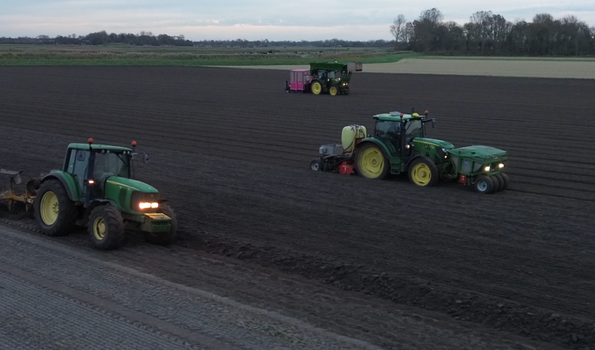 The Pink Innovation Pink Planter