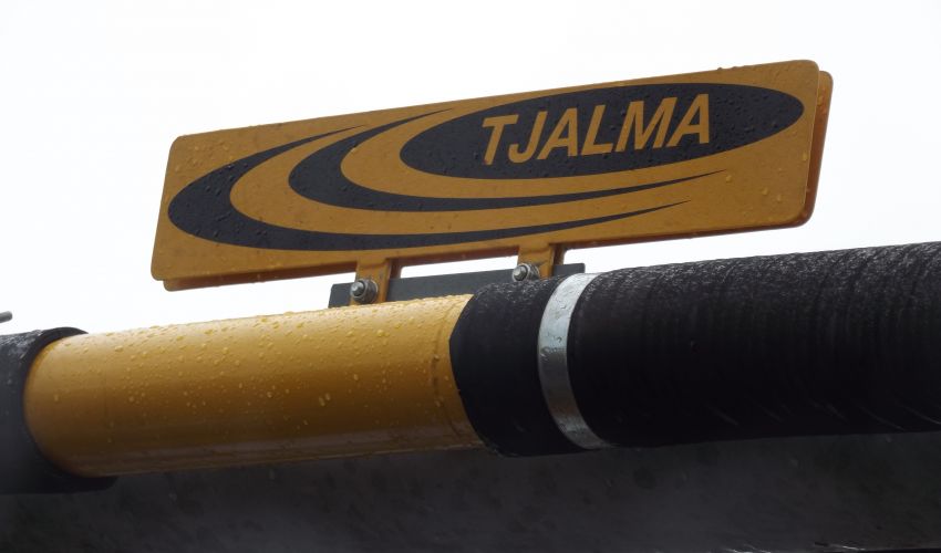 Tjalma Logo
